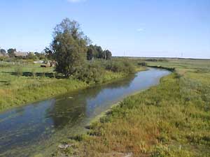Река Дорогобуж у д. Здитово. 2001 г.